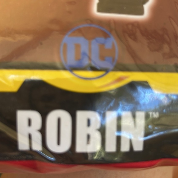 Robin from Batman - Picture 4 of 4